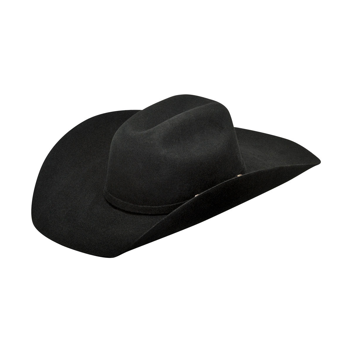 Twister Youth Black Felt Hat