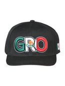 EL GENERAL Mexican States Flag Colors Embroidered Snapback Cap, Black