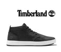 TIMBERLAND TREE Men's Davis Square Leather TB1A1OI5001