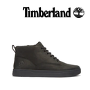 TIMBERLAND TREE Men's Davis Square Leather