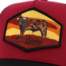 EL VIEJON Semental AVC Cap, Charcoal, Maroon