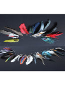 EL GENERAL Peacock Feather hand painted 42048