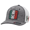 ARIAT Shield Mexico Logo Cap