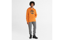 TIMBERLAND TREE Men's Timberland Tree-Logo Hoodie TB0A2BJH